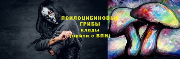 бошки Абинск