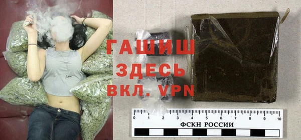 стафф Осташков